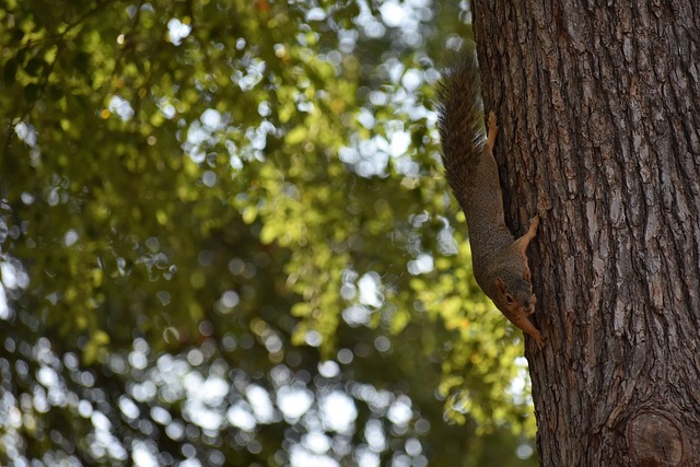 备战的努力 备战的努力