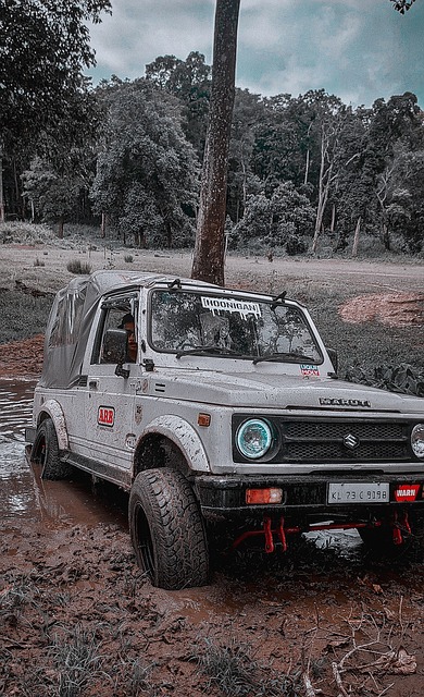 三分球往往 三分球往往