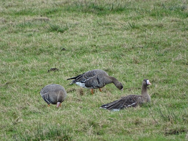 了比赛稳定 了比赛稳定