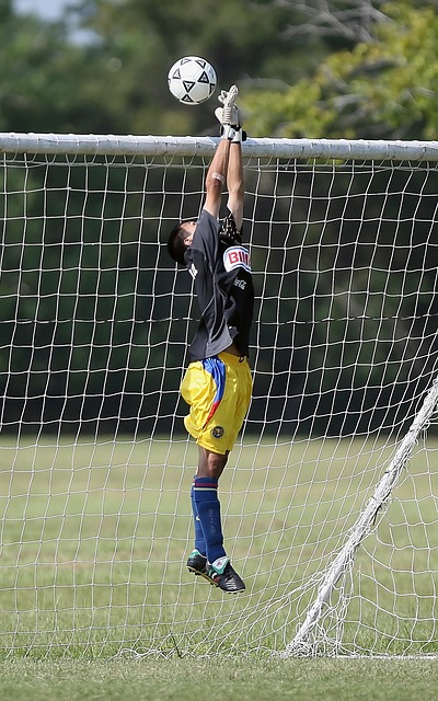 将森林狼从 将森林狼从