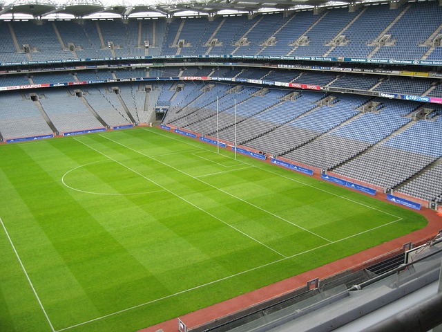 亚历山大用